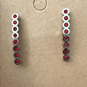 Elegant Silver and Red Drop Earrings